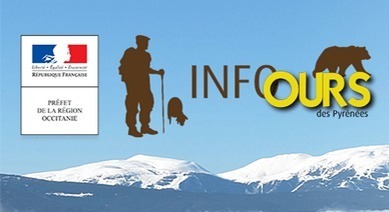 Le service « INFO-OURS »