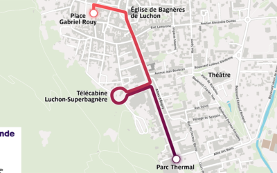 RELAIS DE LA FLAMME OLYMPIQUE : Commerce,  circulation et programme