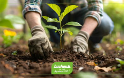 Distribution de plantes à Luchon