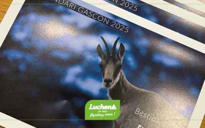 Calendrier Gascon et Agenda de poche